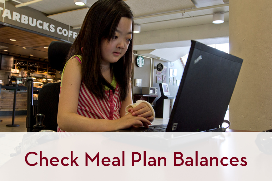 Check Your Meal Plan Balance